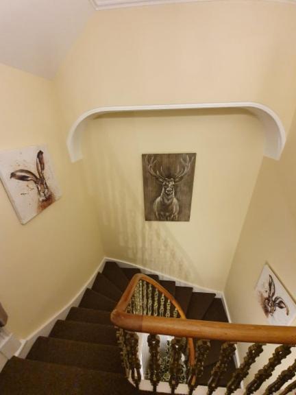 فيلا Park View House On Nc500 ويك المظهر الخارجي الصورة